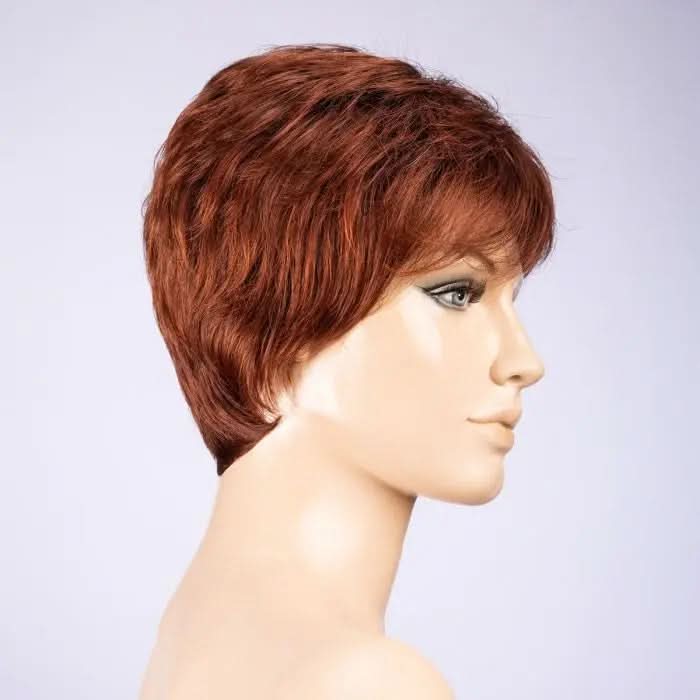 Ellen Wille Zizi auburn mix