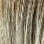 biscuit blond balayage (23/14)