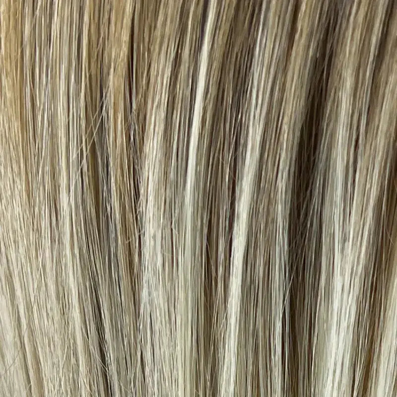 biscuit blond balayage (23/14)