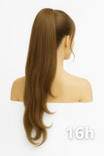 NOGI Stain Elegance 16H