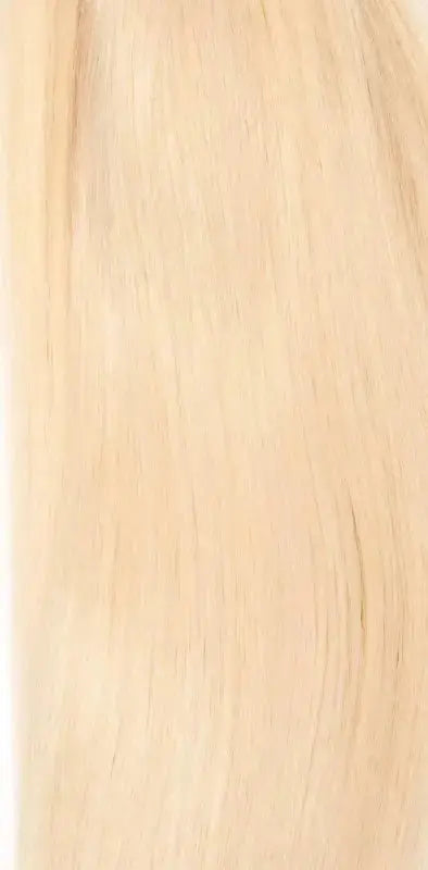 Nogi Marilyn