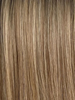 Gisela Mayer Debbie HH Remy Special silver rooted