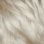 Grey Silver Blonde 60/23