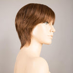 Ellen Wille Award chocolate mix
