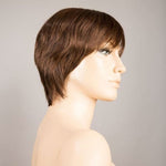Ellen Wille Award Deluxe darkchocolate mix 6.30.4