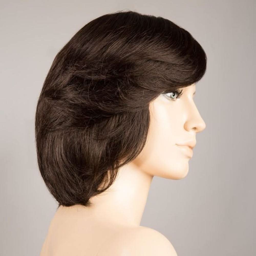 Ellen Wille Brilliance Plus Deluxe espresso mix 4.2