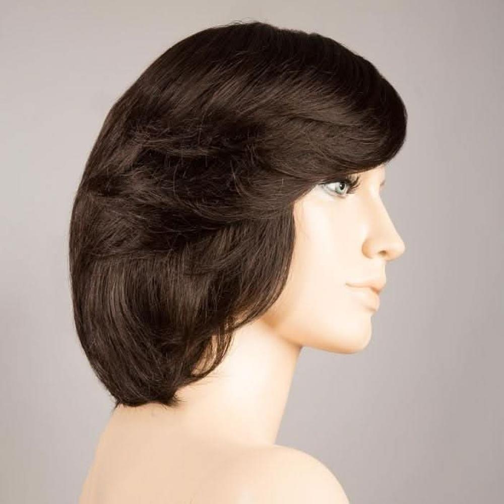 Ellen Wille Brilliance Plus espresso mix