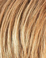 Ellen Wille Charlotte lightbernstein rooted