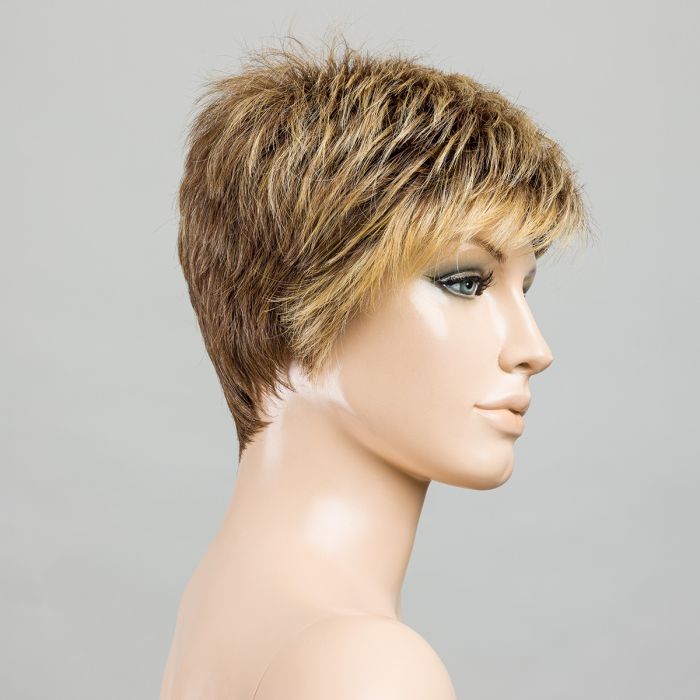 Ellen Wille Chat bernstein rooted