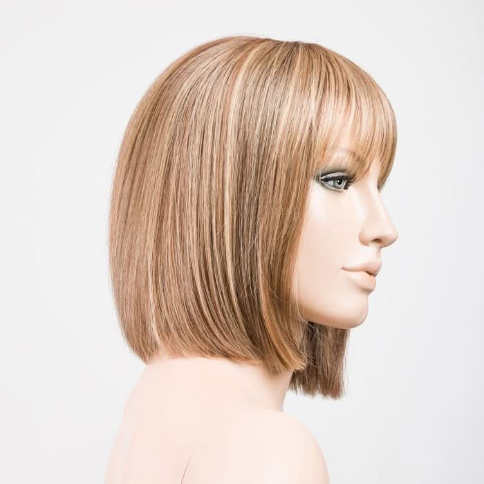 Ellen Wille Cleo lightbernstein rooted