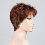 Ellen Wille Coco auburn mix