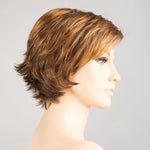 Ellen Wille Date hazelnut mix