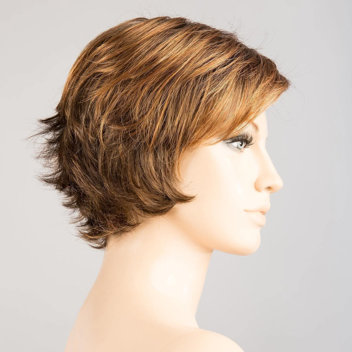 Ellen Wille Date hazelnut rooted