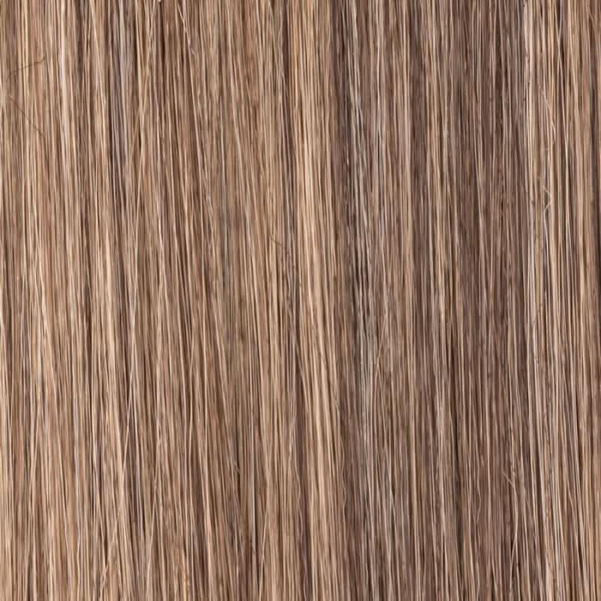 Ellen Wille Dream bernstein rooted