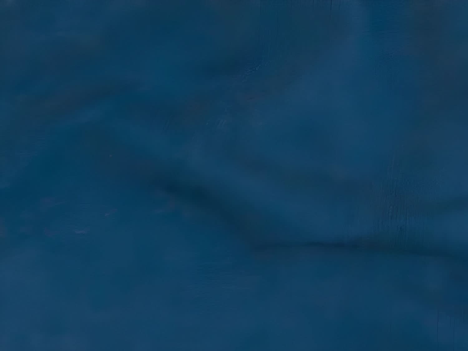 Ellen Wille Easy Fit marine