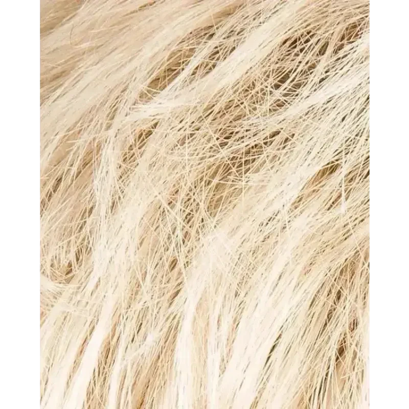 champagne rooted