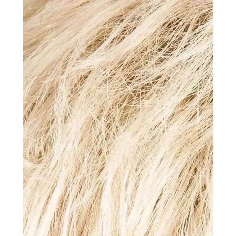 champagne rooted