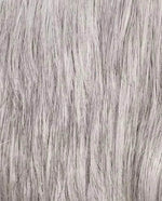 Ellen Wille Jet M56S