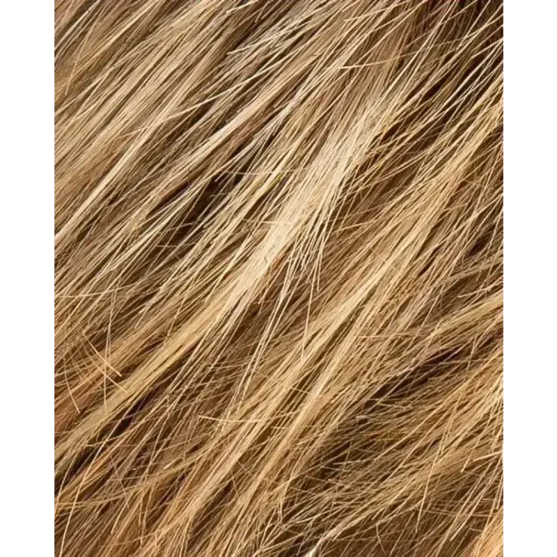 lightbernstein rooted