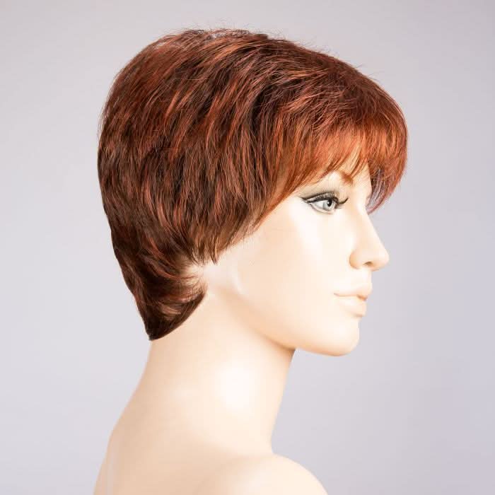 Ellen Wille Fair Mono auburn rooted