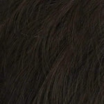 Gisela Mayer Business Cut Lace M5S _ Medium Brown