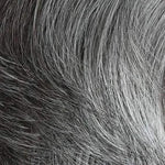 Gisela Mayer Business Cut Lace M44S _ 50% grey