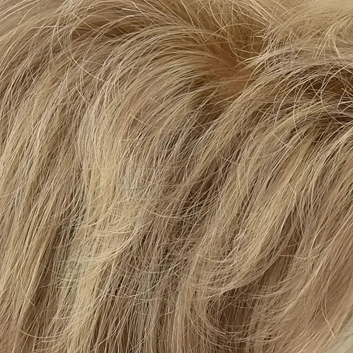 Gisela Mayer Ginger Lace 12-26