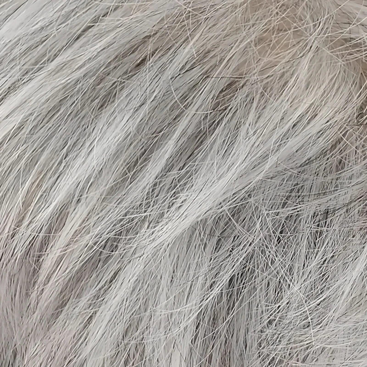 Gisela Mayer Ginger Lace