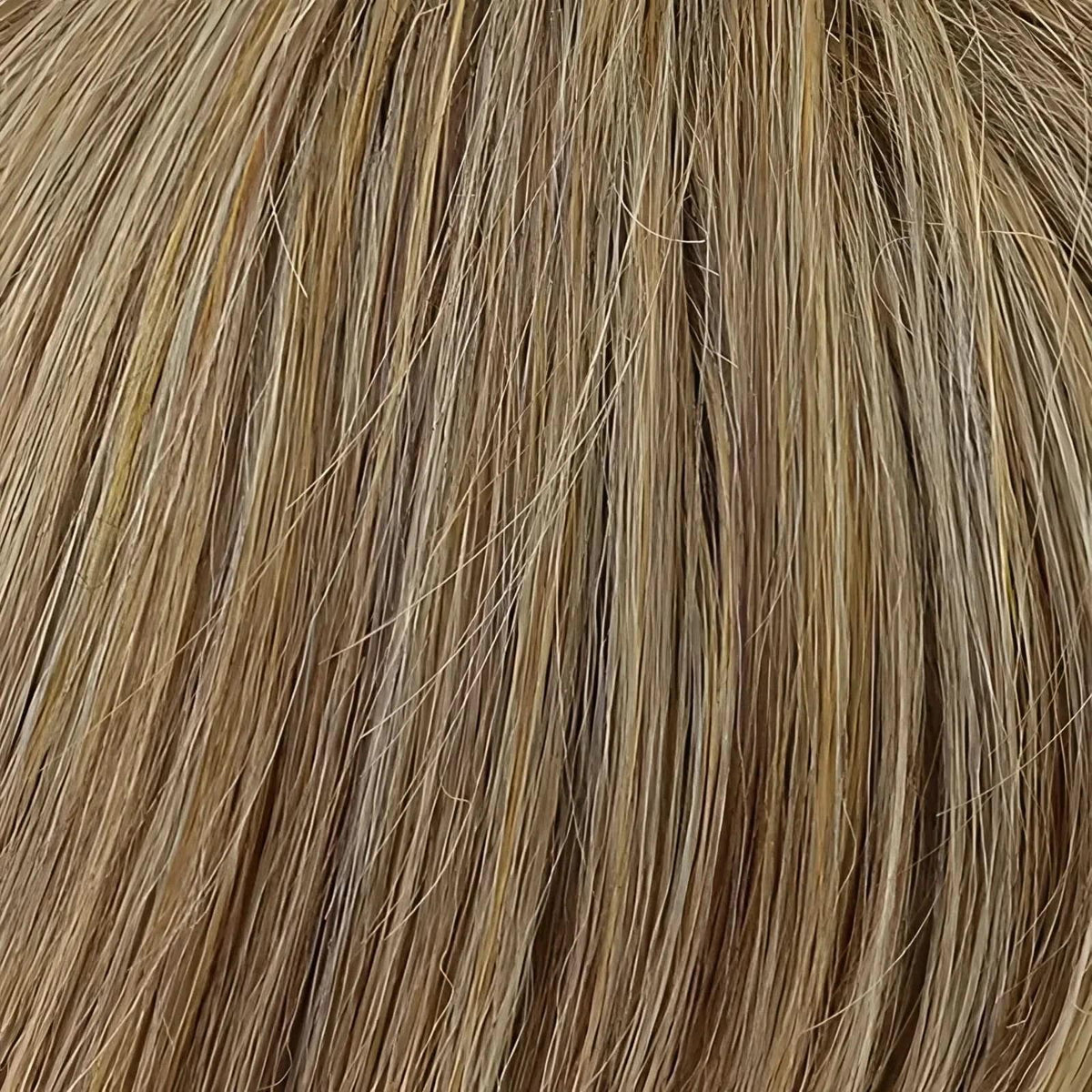 Gisela Mayer Ginger Lace 12-23