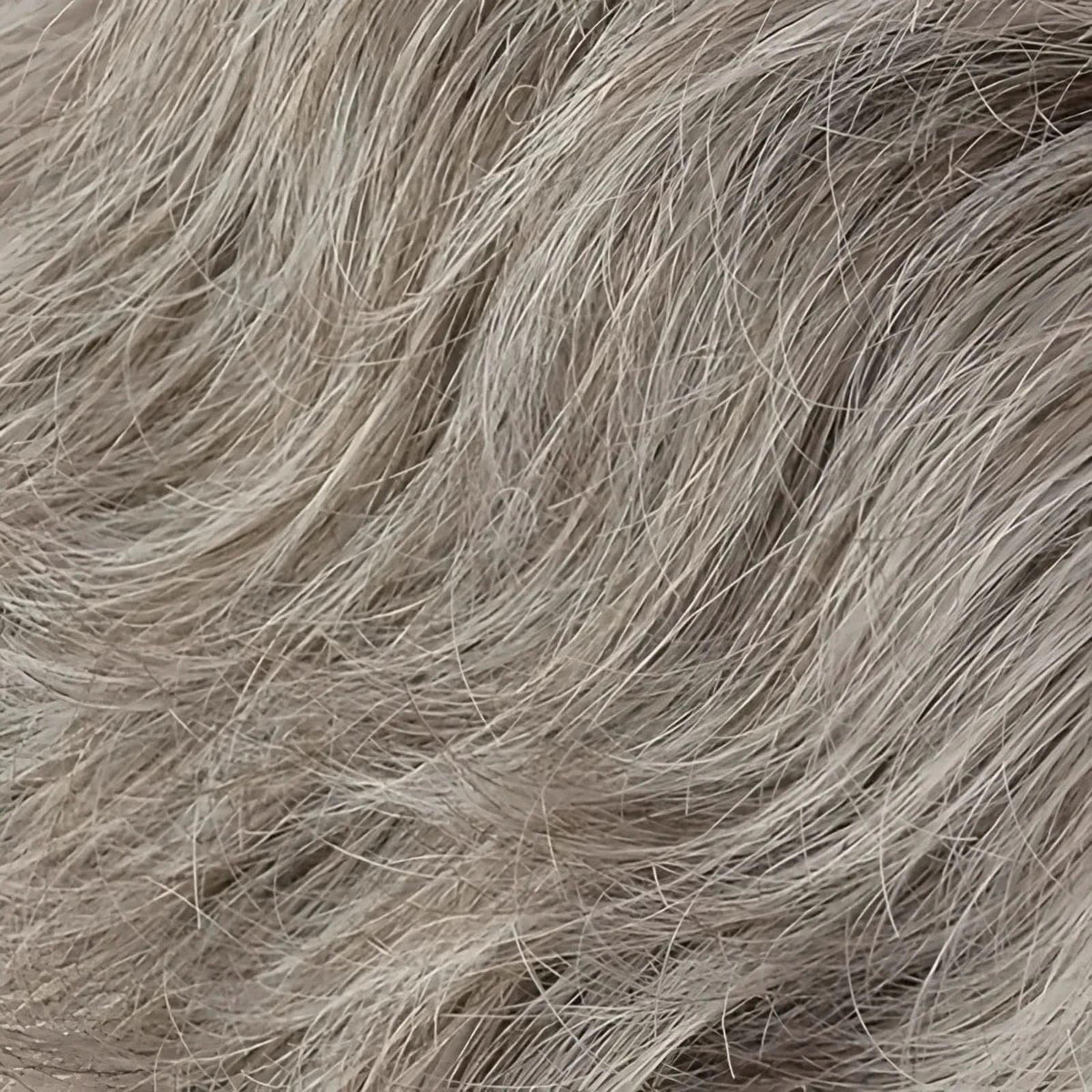 Gisela Mayer Ginger Lace 60