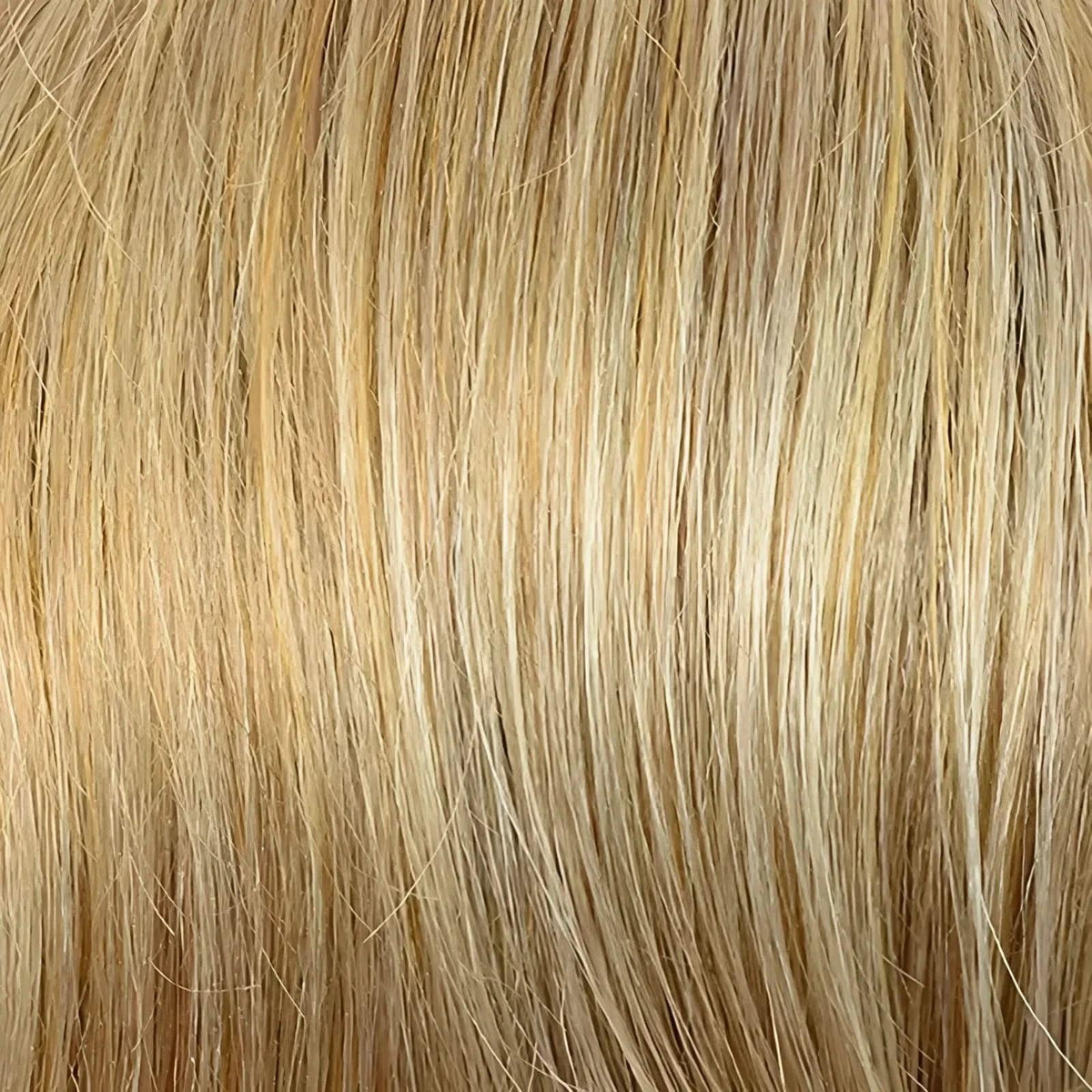 Gisela Mayer Ginger Lace 26-25