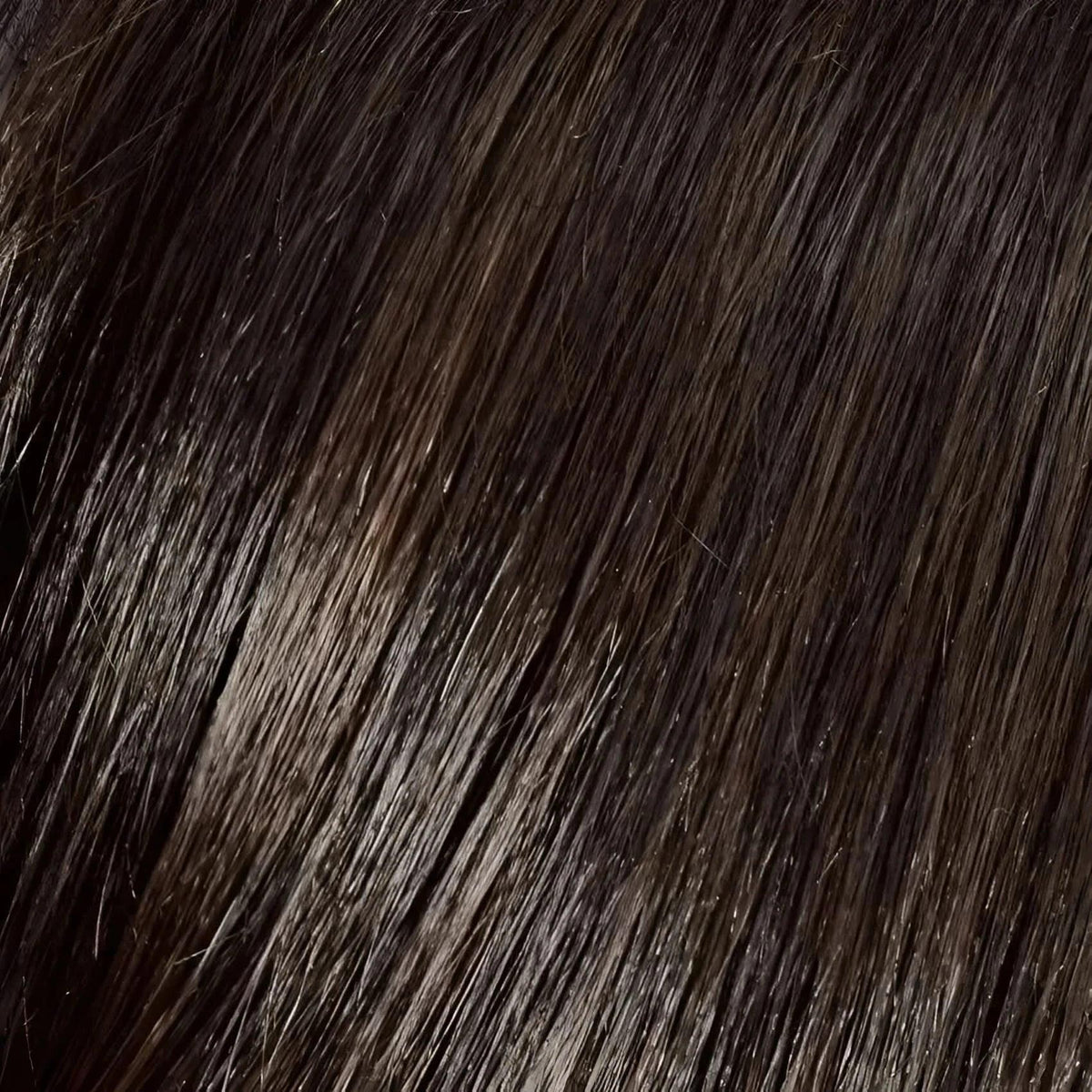 Gisela Mayer HI Flirt (Groß) 4 6 Dark Brown