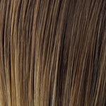 bernstein balayage (10/16/27+10)