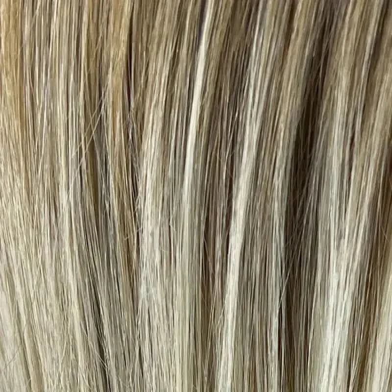biscuit blond balayage (23/14)