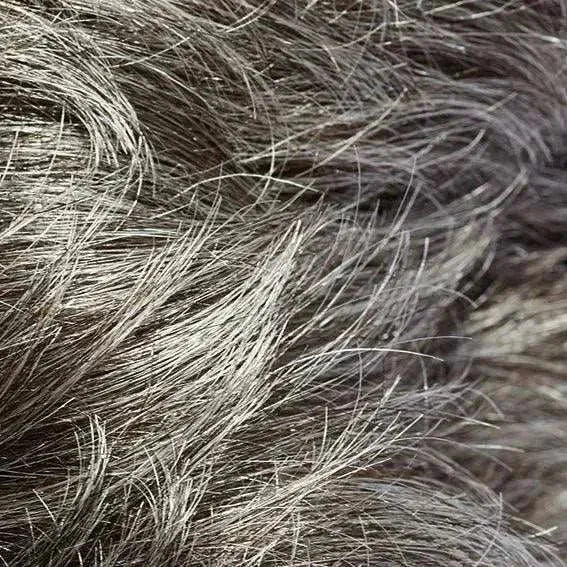 Gisela Mayer It Curl GL44-51 sugared charcoal