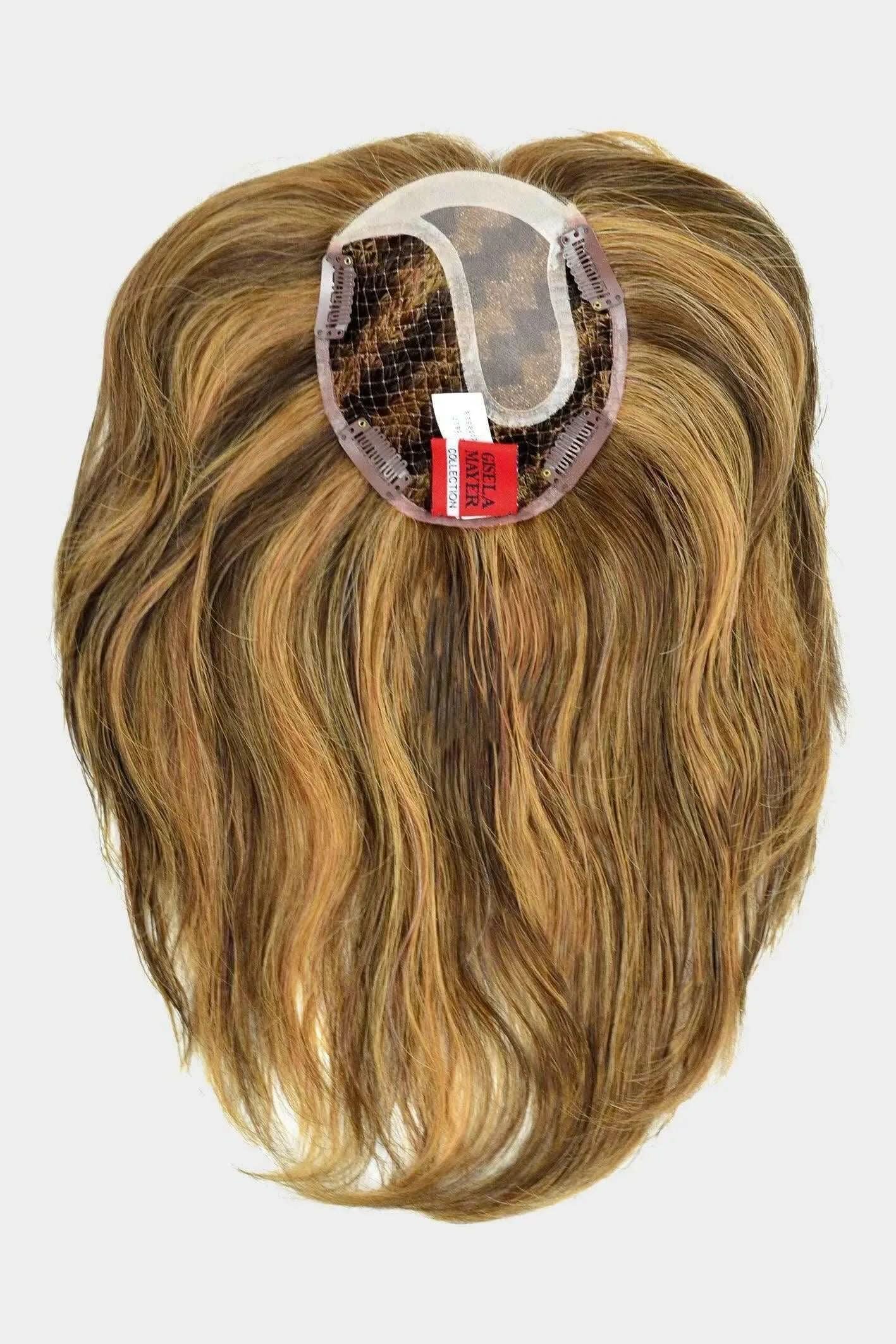 Gisela Mayer New Integration HH