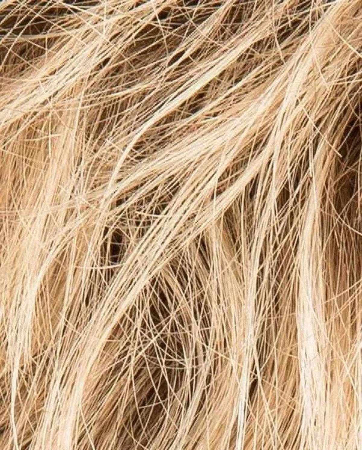 Ellen Wille Louise champagne rooted