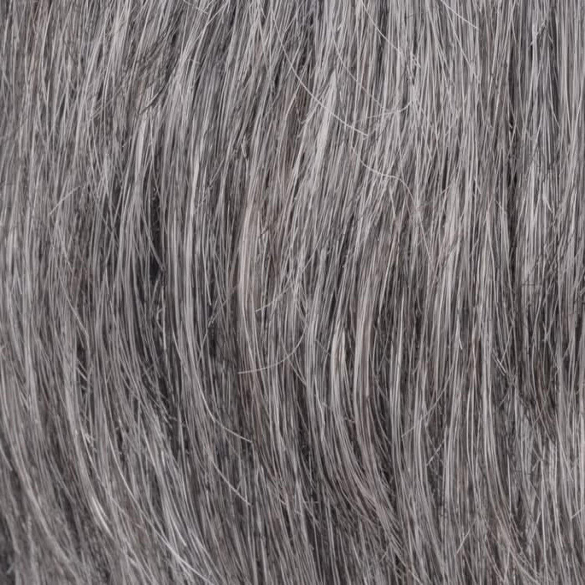 Ellen Wille Gary M44S