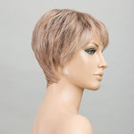 Ellen Wille Novel Deluxe