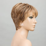 Ellen Wille Novel Deluxe lightbernstein rooted