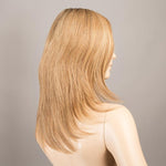 Ellen Wille Spectra Plus lightbernstein rooted