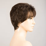 Ellen Wille Spring HI espresso mix