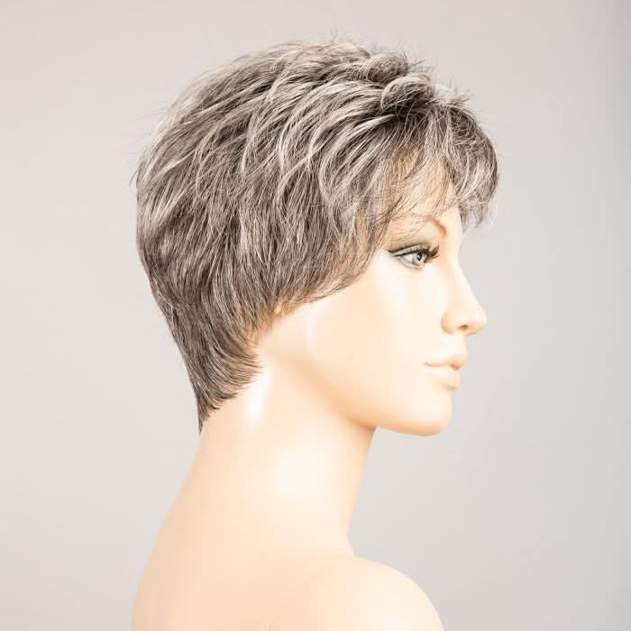Ellen Wille Spring HI salt pepper mix