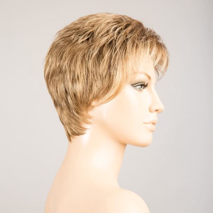 Ellen Wille Spring HI sand rooted