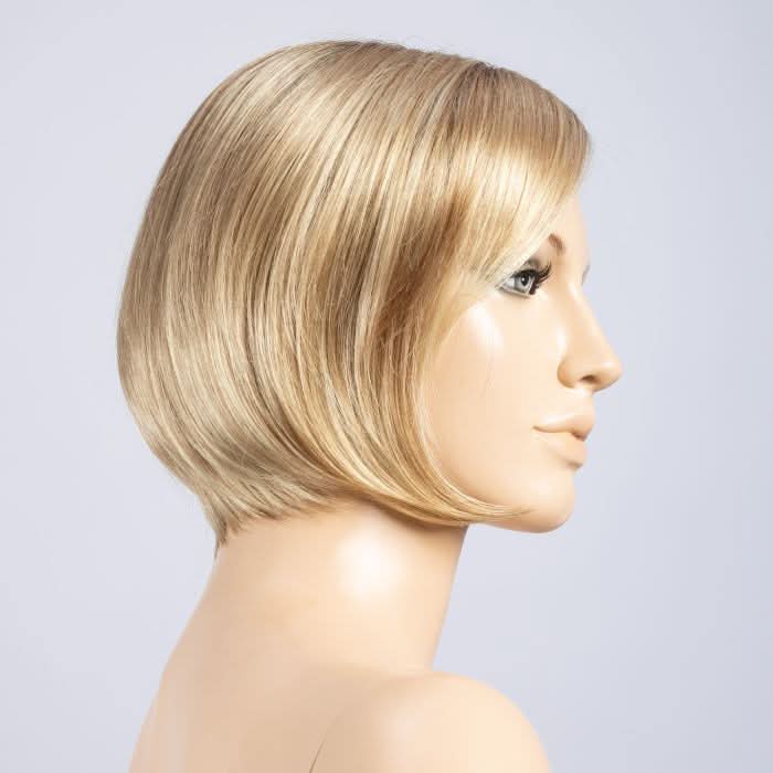 Ellen Wille Star champagne rooted